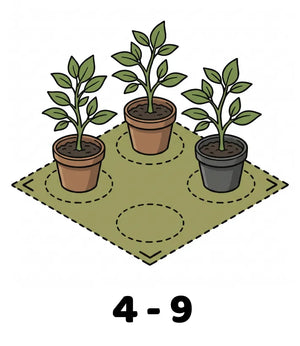 Info Icon