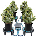 Mars Hydro Auto-Drainage System 4-Pack zur automatischen Entwässerung von vier Pflanzen.