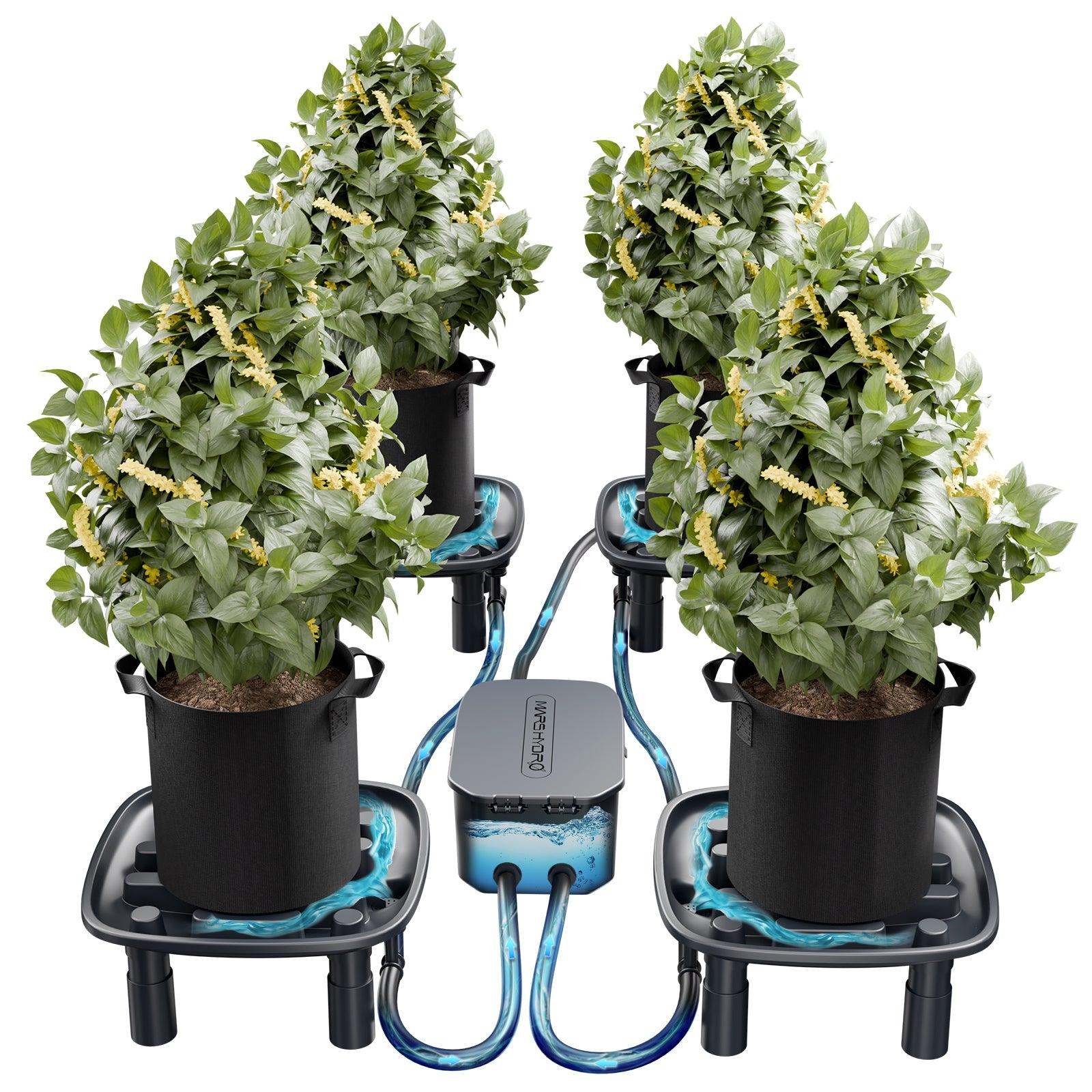 Mars Hydro Auto-Drainage System 4-Pack zur automatischen Entwässerung von vier Pflanzen.