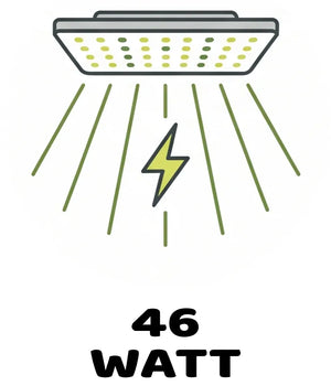 Info Icon