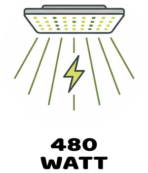 Info Icon