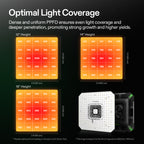 AeroLight A100 LED - Einstellbares Spektrum 100W