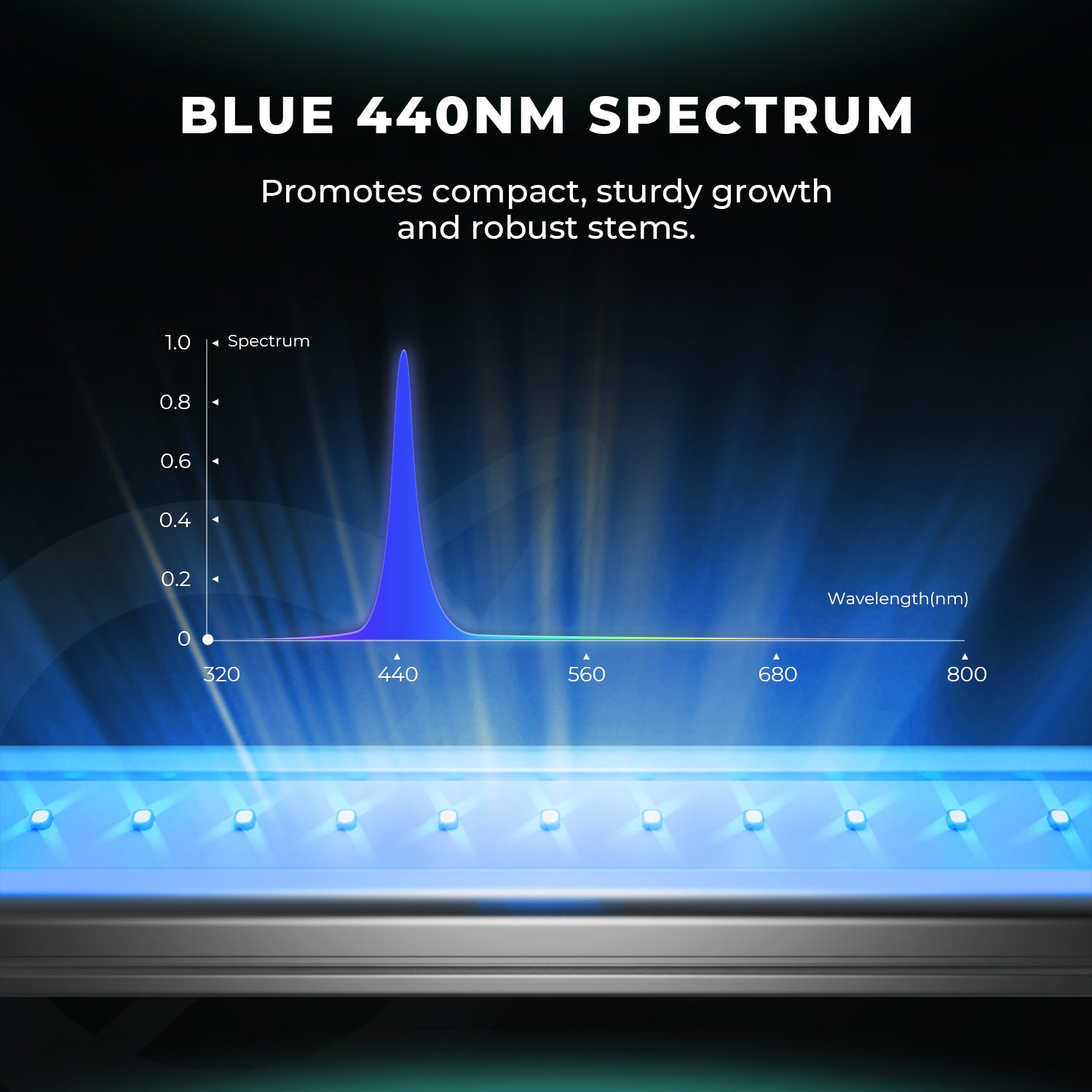 Detailaufnahme der Blue Dioden 440nm auf der Mars Hydro ADlite