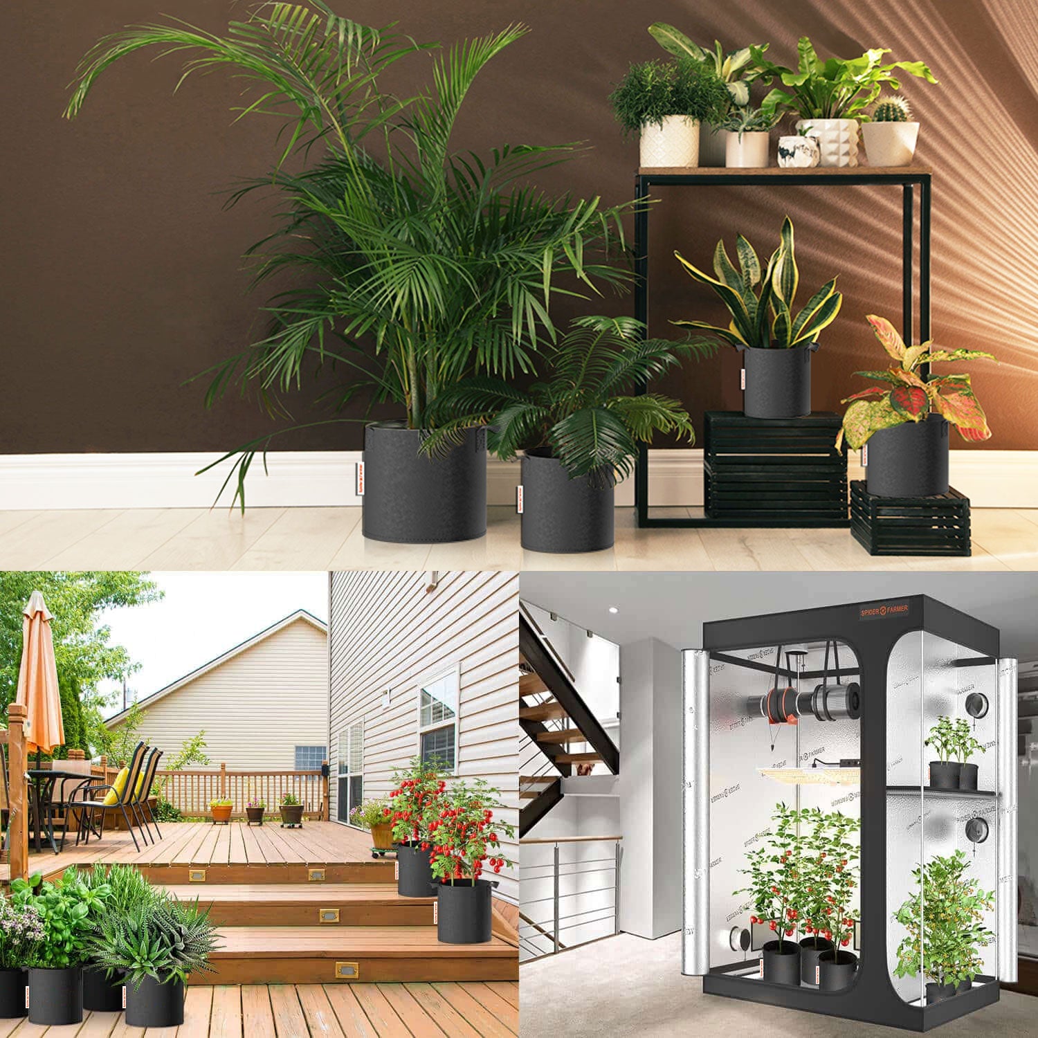 Indoor-Zelt Ansicht: 5er-Set Spider Farmer Grow Bags unter professionellen Pflanzenlampen.