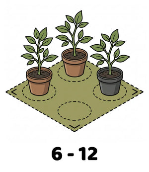 Info Icon