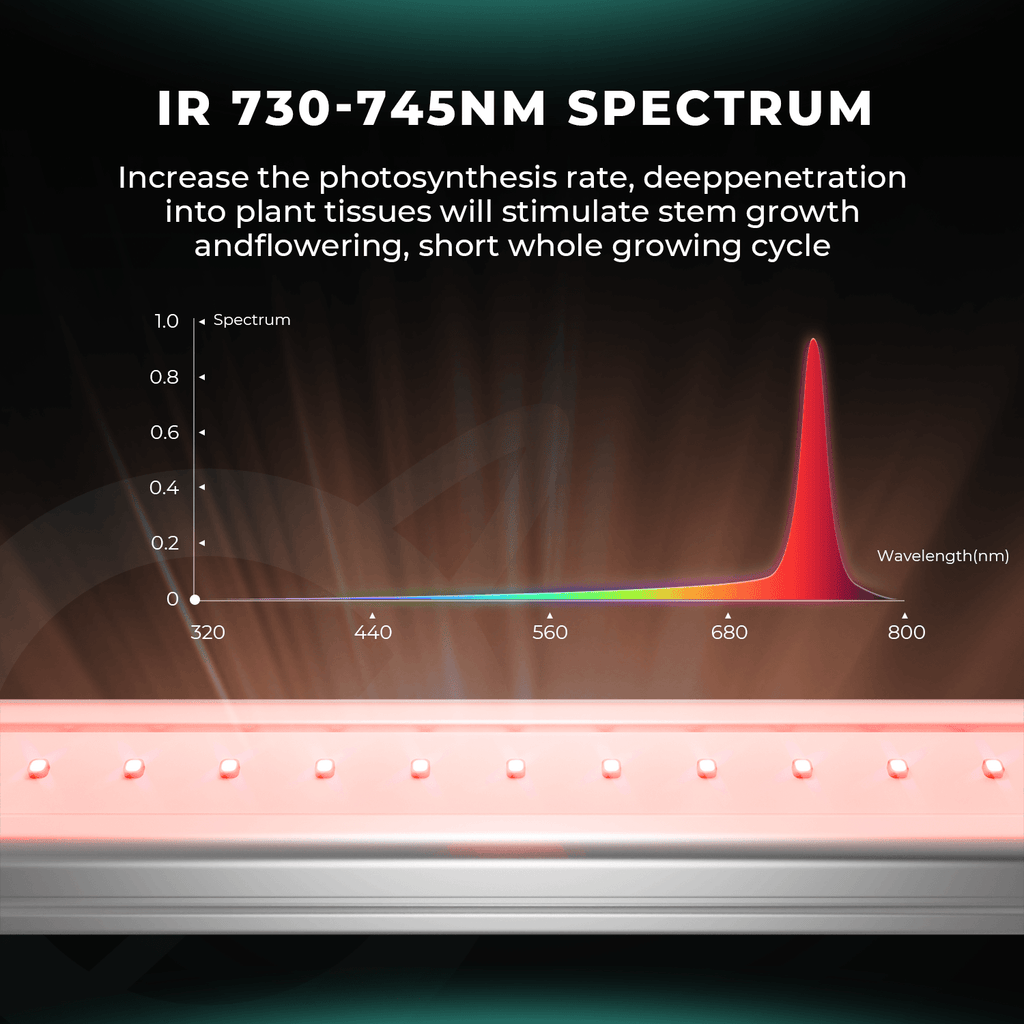 Detailansicht der IR Dioden 730-745nm auf der Mars Hydro ADlite 30W