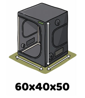 Info Icon