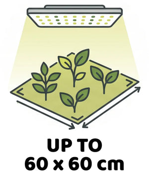 Info Icon