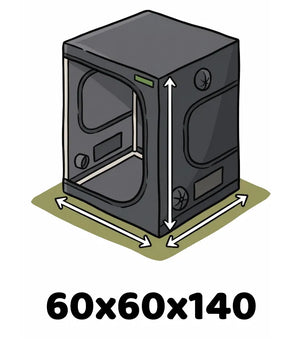 Info Icon