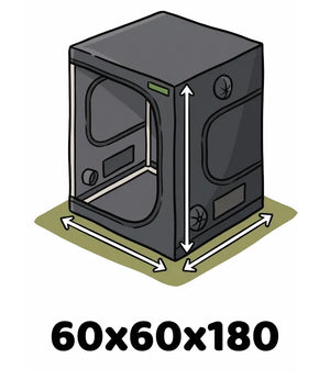 Info Icon
