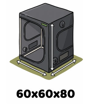 Info Icon