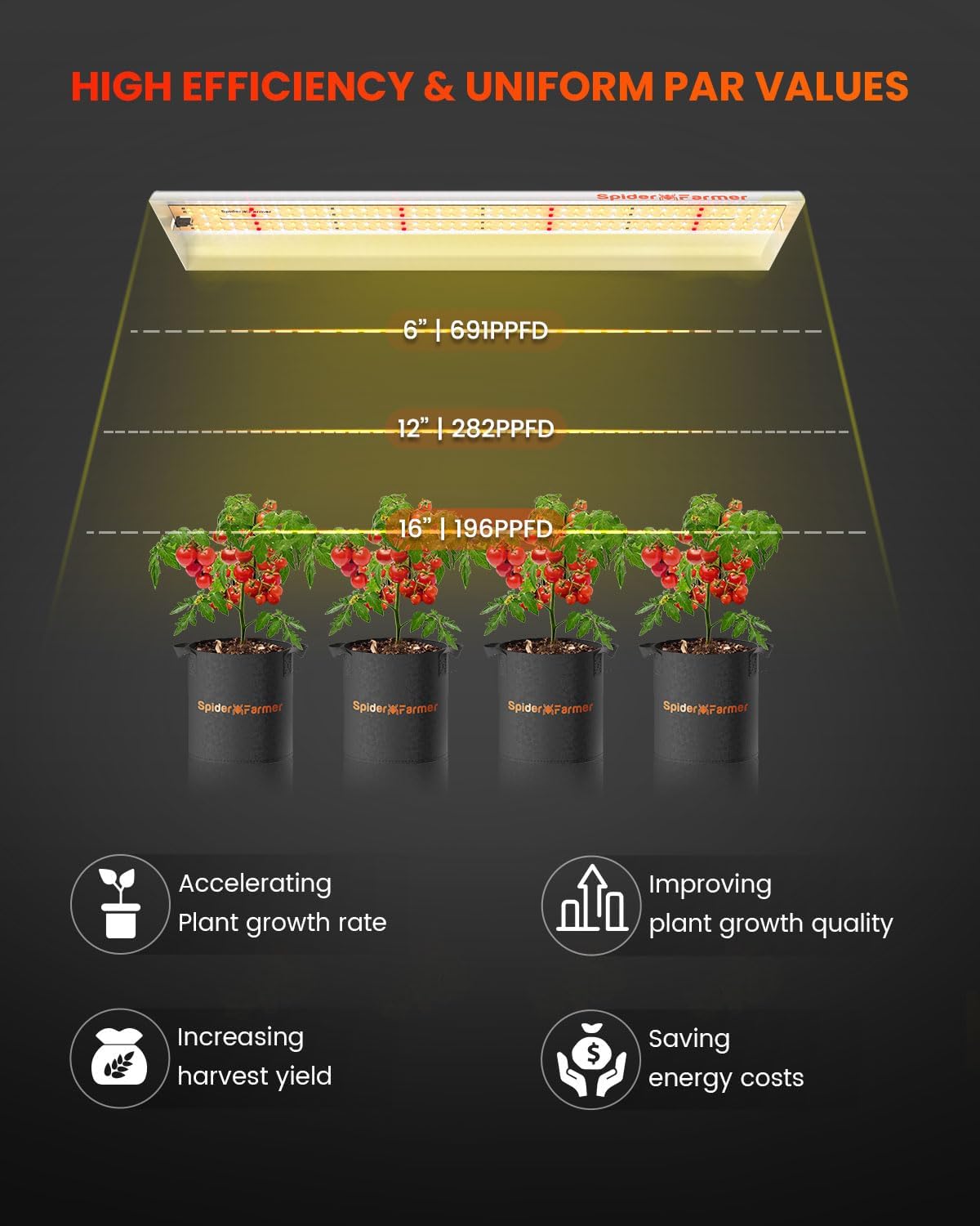 PAR-Wert Diagramm der Spider Farmer SF300 bei 30 cm Abstand.