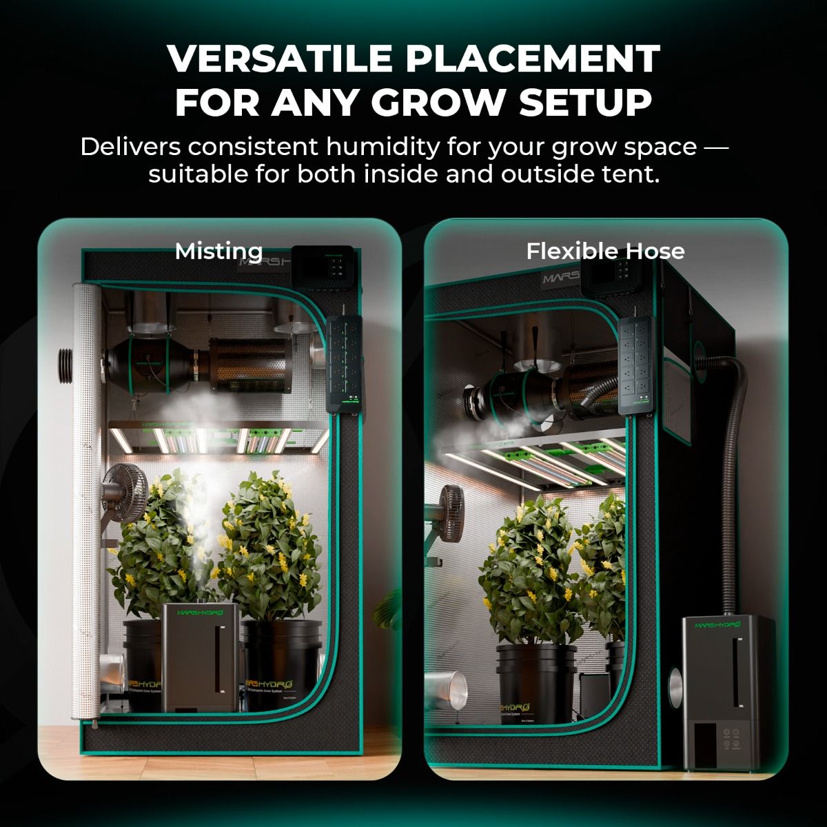 Mars Hydro Luftbefeuchter im Einsatz bei Sämlingen und Stecklingen – Garantiert die notwendige hohe Luftfeuchtigkeit für maximale Überlebensraten und schnelles Anwurzeln.