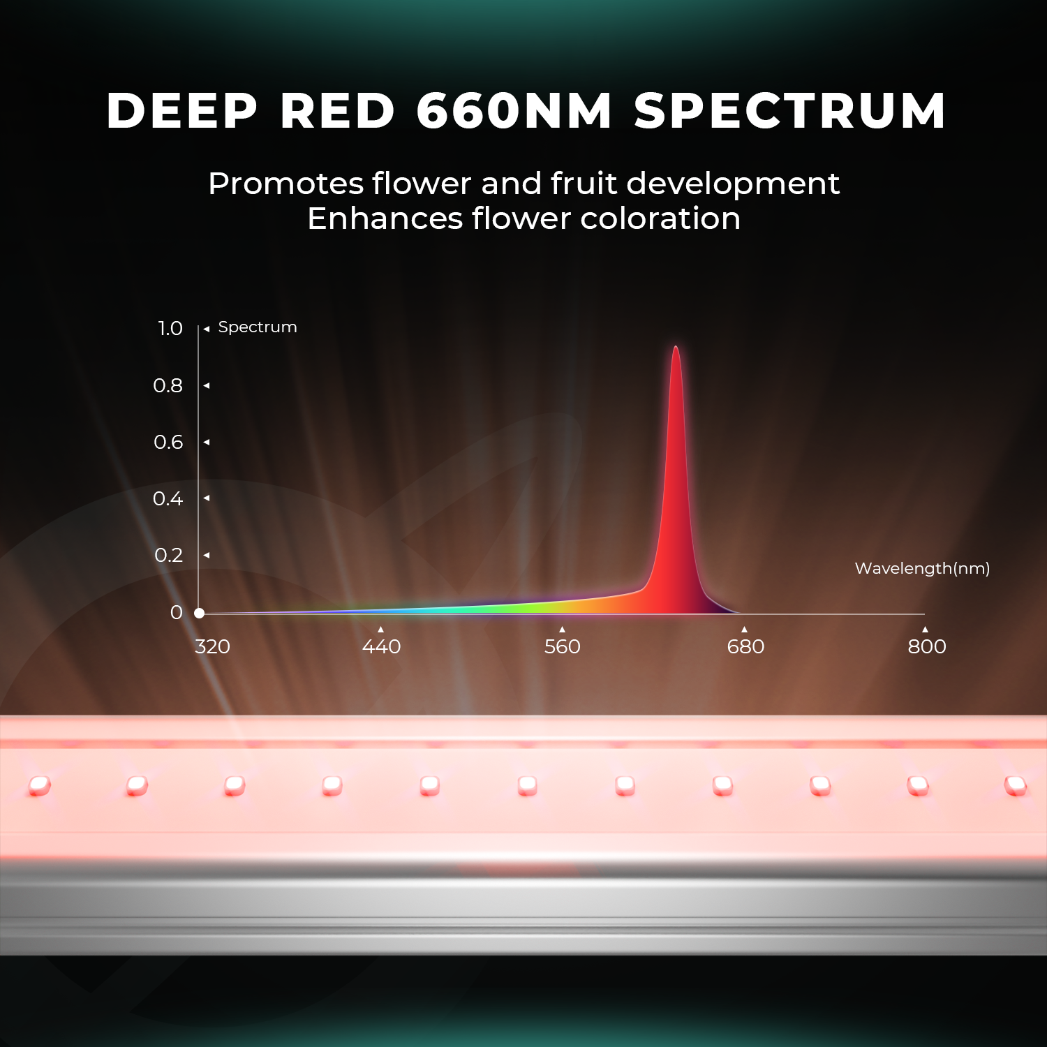 Detailansicht der 660nm Deep Red Dioden auf der Mars Hydro ADlite 27W Bar