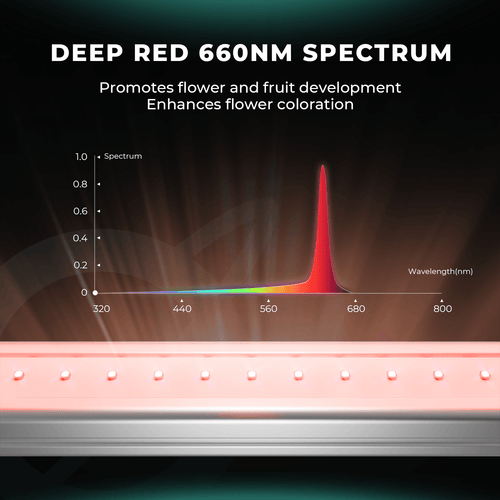 Detailansicht der 660nm Deep Red Dioden auf der Mars Hydro ADlite 27W Bar