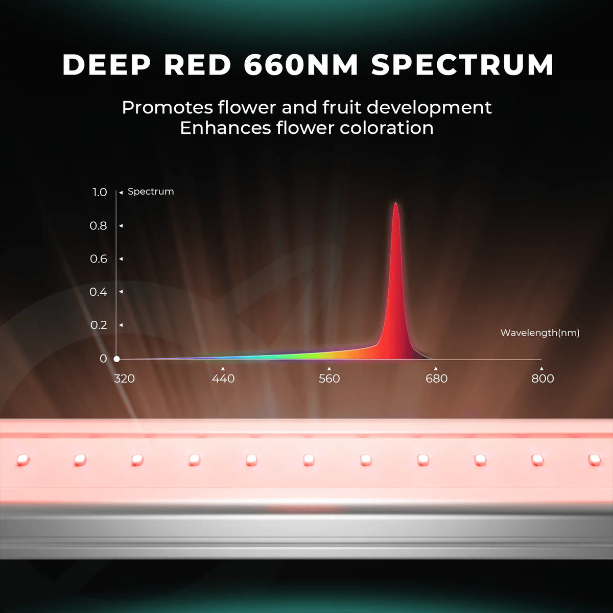 Mars Hydro ADlite Deep Red 55 + Blue 55 Combo 108W - Eacygrow