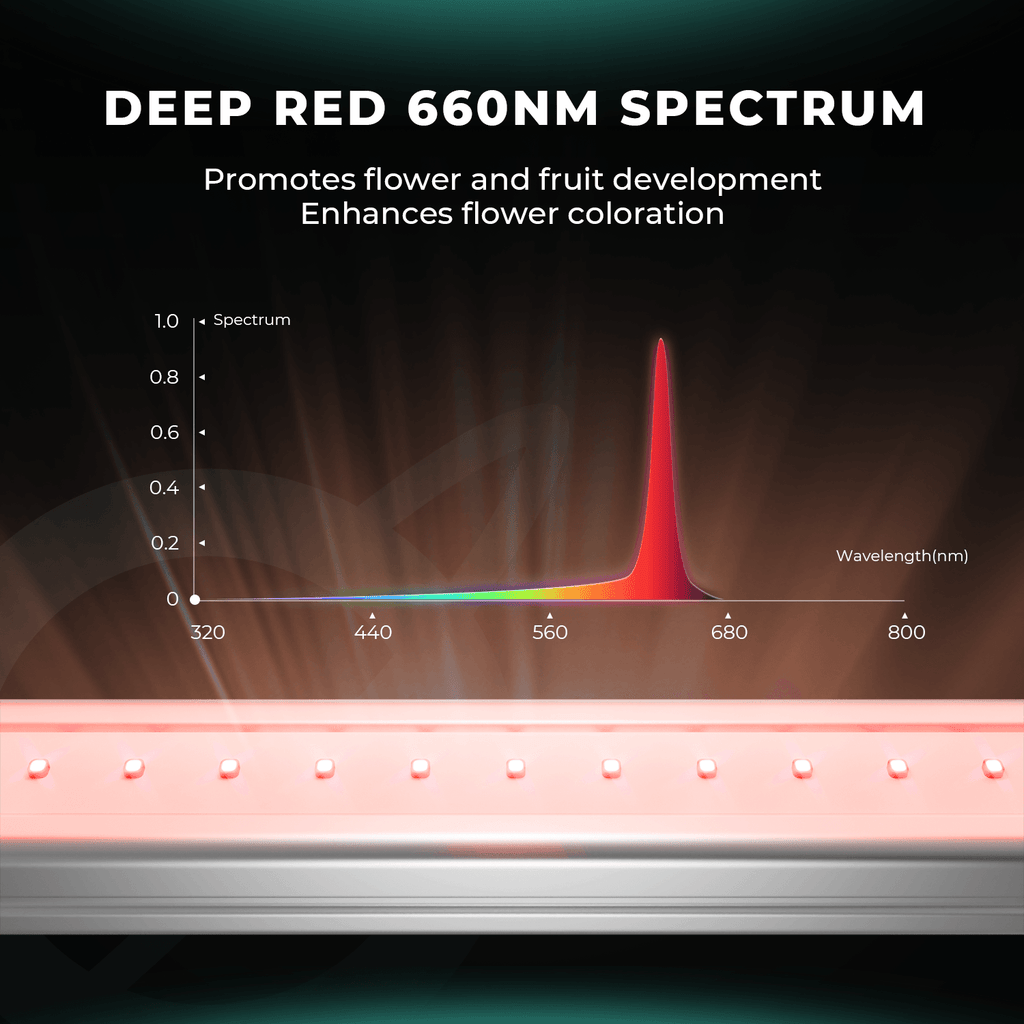Detailaufnahme der Deep Red Dioden 660nm auf der Mars Hydro ADlite