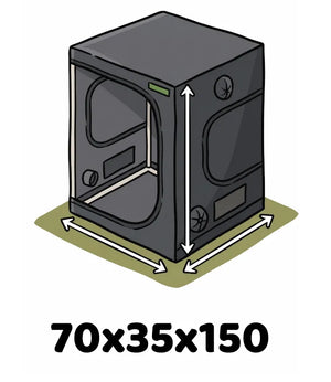 Info Icon