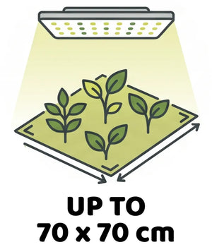 Info Icon