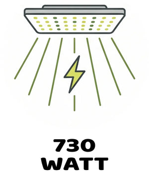 Info Icon