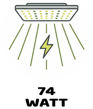Info Icon