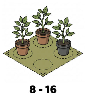 Info Icon