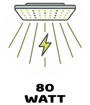 Info Icon