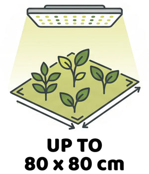 Info Icon