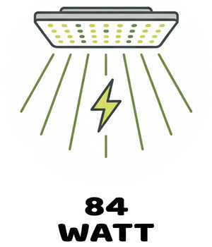 Info Icon
