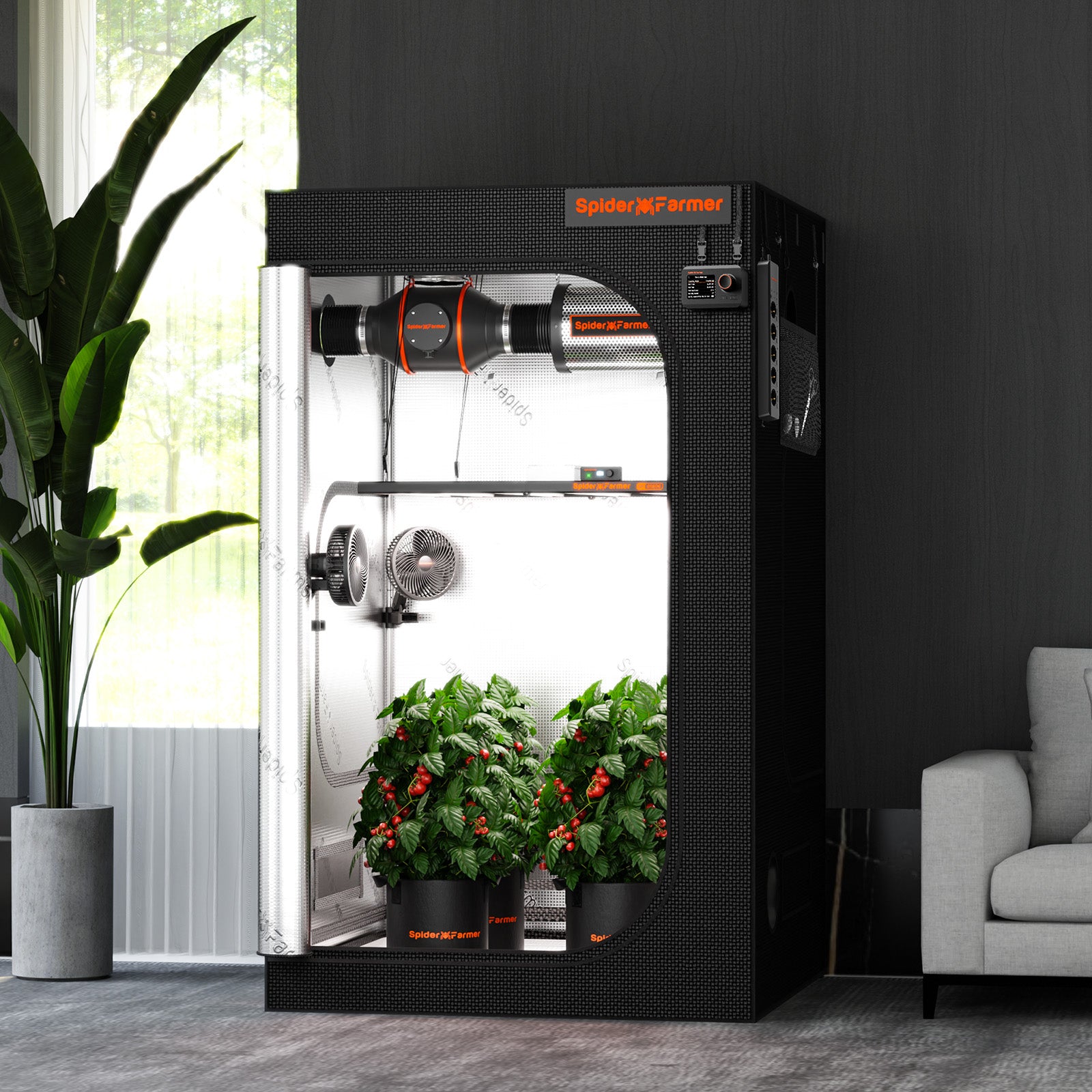 Anwendungsbeispiel: Voll ausgestattetes Spider Farmer 120x120 cm Zelt mit installierter LED-Beleuchtung und Belüftungsanlage.