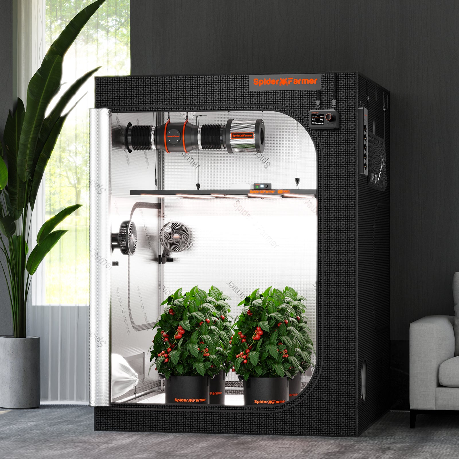 Anwendungsbeispiel: Voll ausgestattetes Spider Farmer 150x150 cm Zelt mit installierter LED-Beleuchtung und Belüftungsanlage.