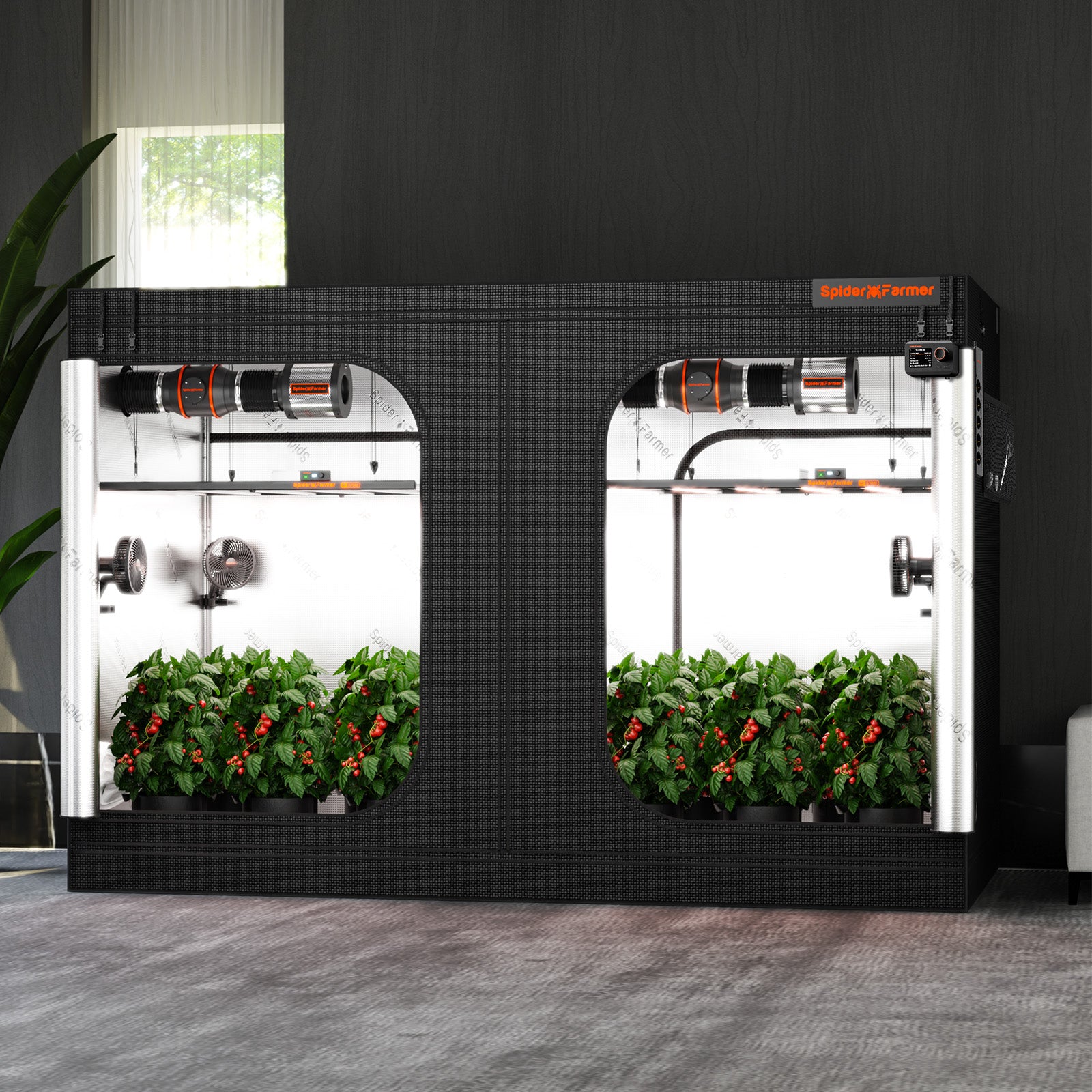 Anwendungsbeispiel: Voll ausgestattetes Spider Farmer 240x120 cm Zelt mit zwei installierten LED-Systemen für flächendeckendes Lich