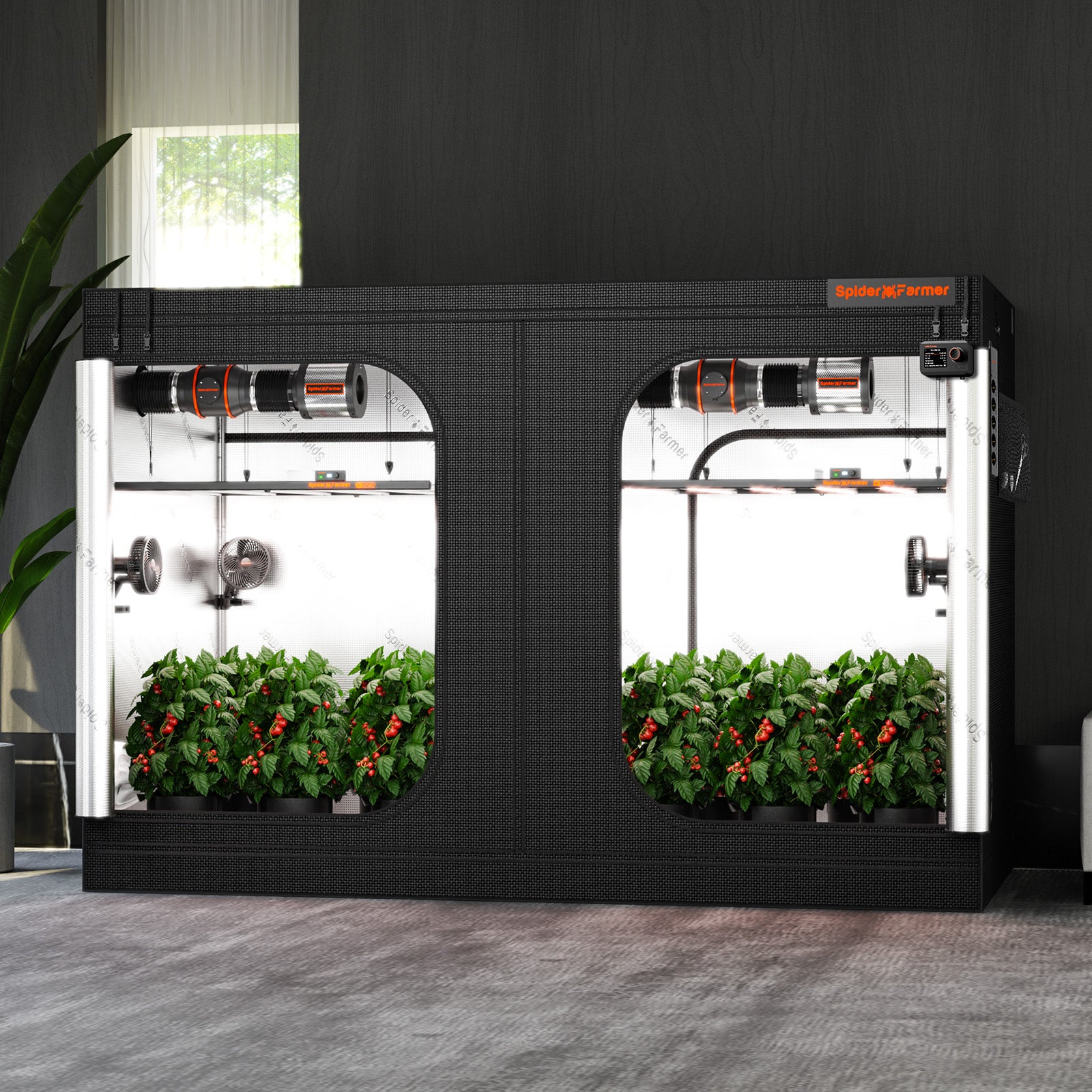 Innenraum-Kapazitaet-18-Pflanzen-Vorschau: Blick in das geöffnete 300x150cm Zelt zur Darstellung der rechteckigen Anbaukapazität.