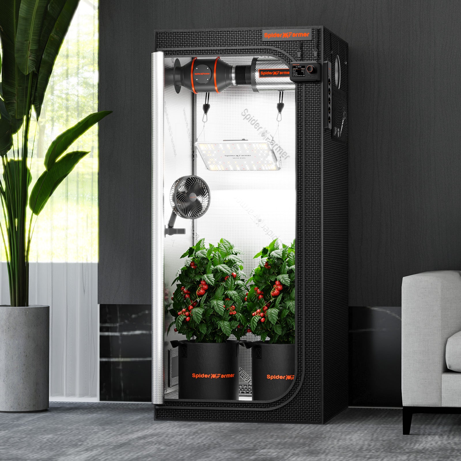 Anwendung (Pflanzenanzahl): Innenansicht des 70x70x160 cm Modells mit Platz für bis zu 4 kleine Pflanzen in der Wachstumsphase.