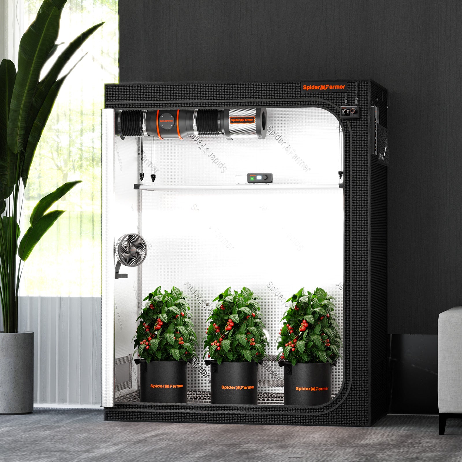 Anwendungsbeispiel: Innenraum des 140x70x200 cm Growzelts, geeignet für die Kultivierung von 2-4 großen Pflanzen.