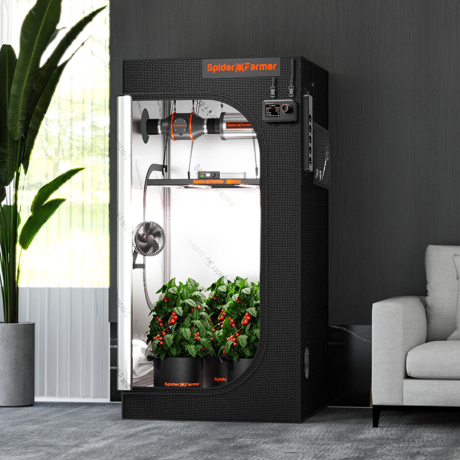 Anwendungsbeispiel: Ausgestattetes Spider Farmer 90x90 cm Zelt mit installierter LED-Beleuchtung und Filteranlage.