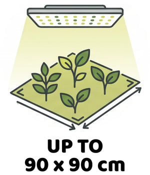 Info Icon