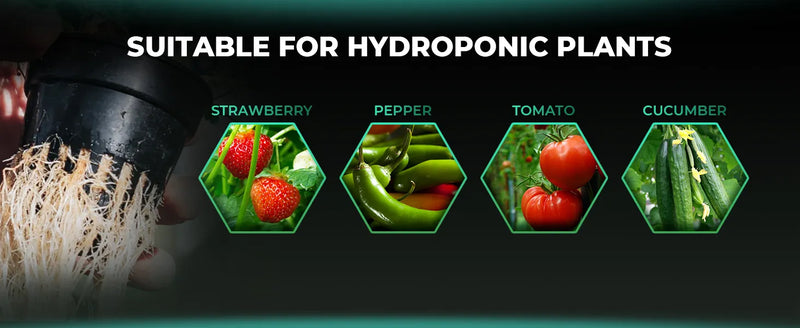 Mars Hydro DWC System Kit | 2 Buckets - 19 Liters with Top Drip