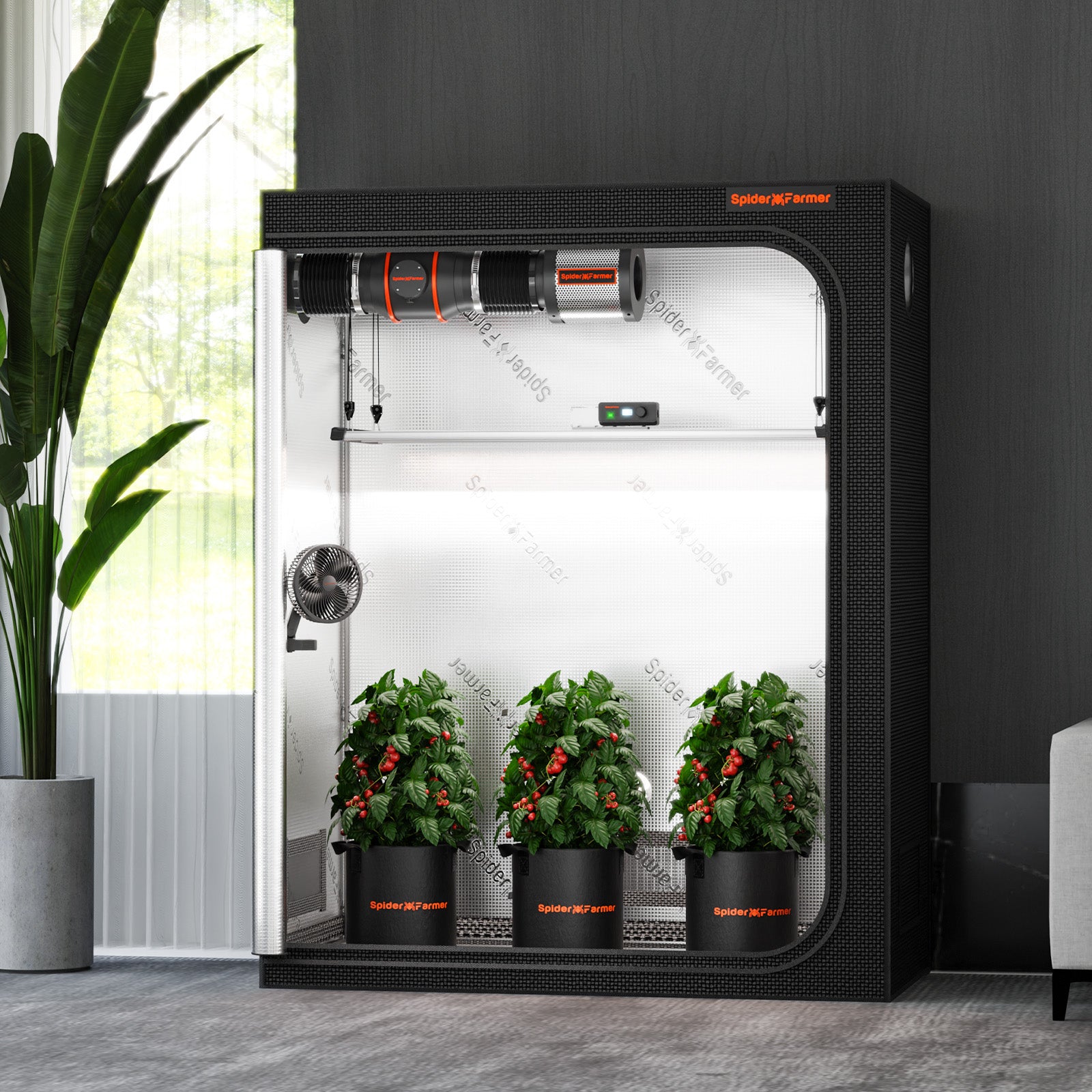 Anwendungsbeispiel: Spider Farmer 120x60 cm Zelt genutzt als kompakte Anzuchtstation für Setzlinge und Klone.