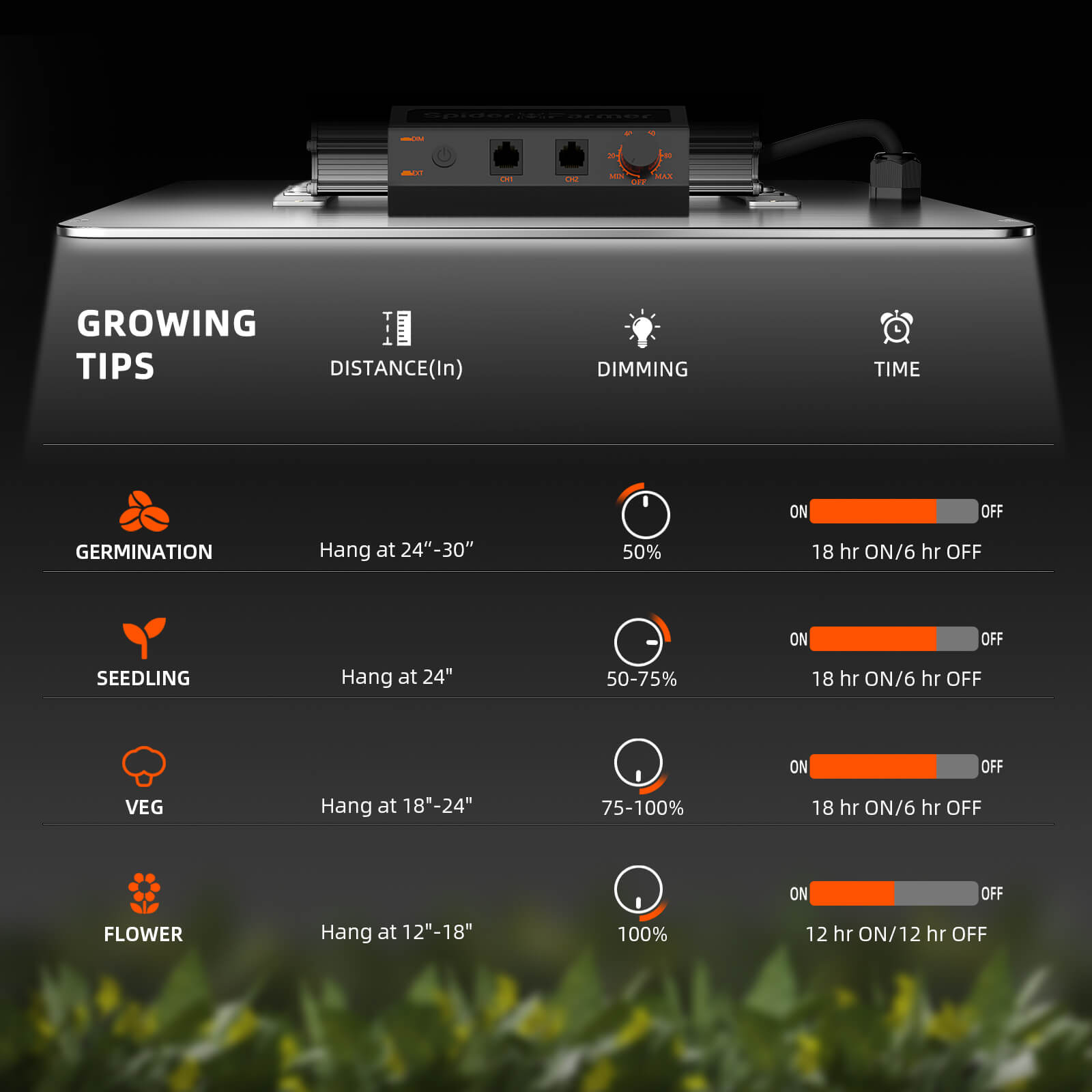 Pflanzen unter dem sonnenähnlichen Licht der Spider Farmer SF2000 200W.