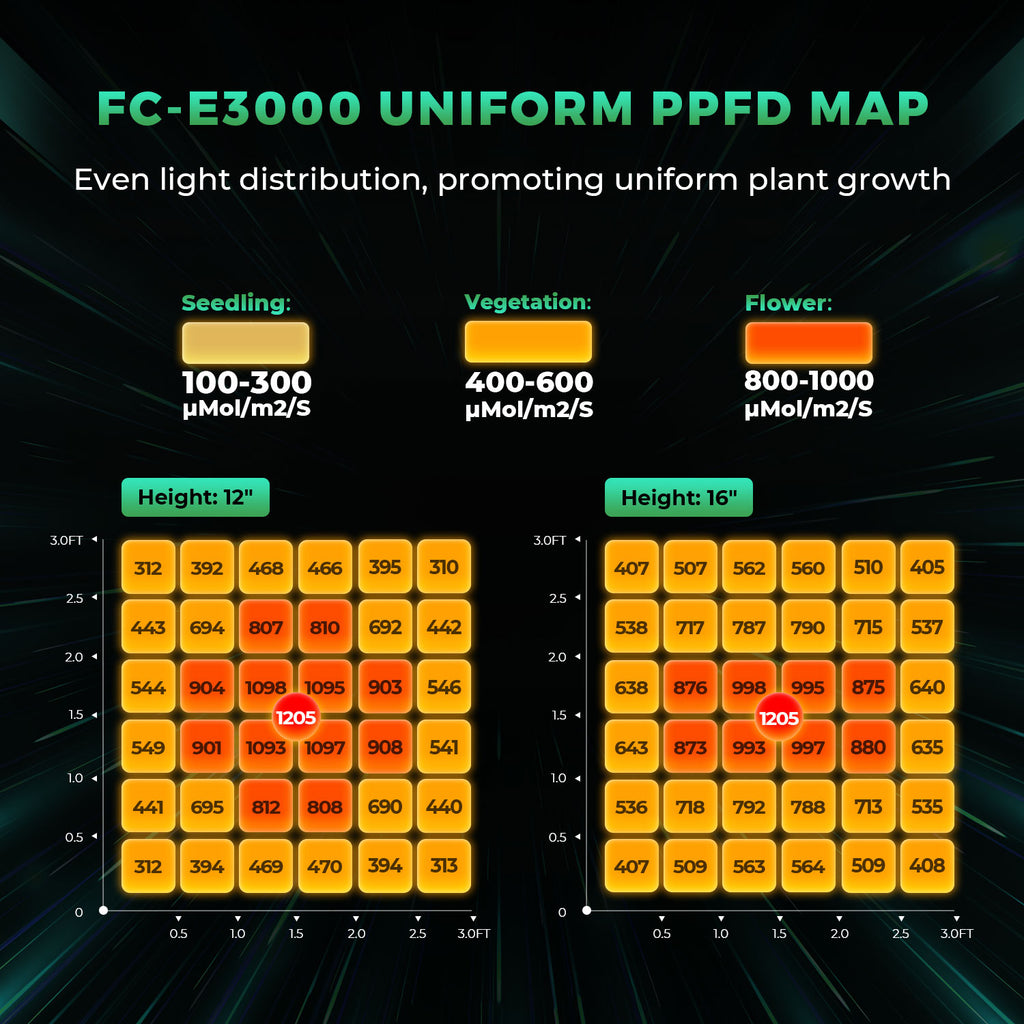 Vollspektrum-Grafik der FC-E3000 für vegetatives Wachstum und Blüte.