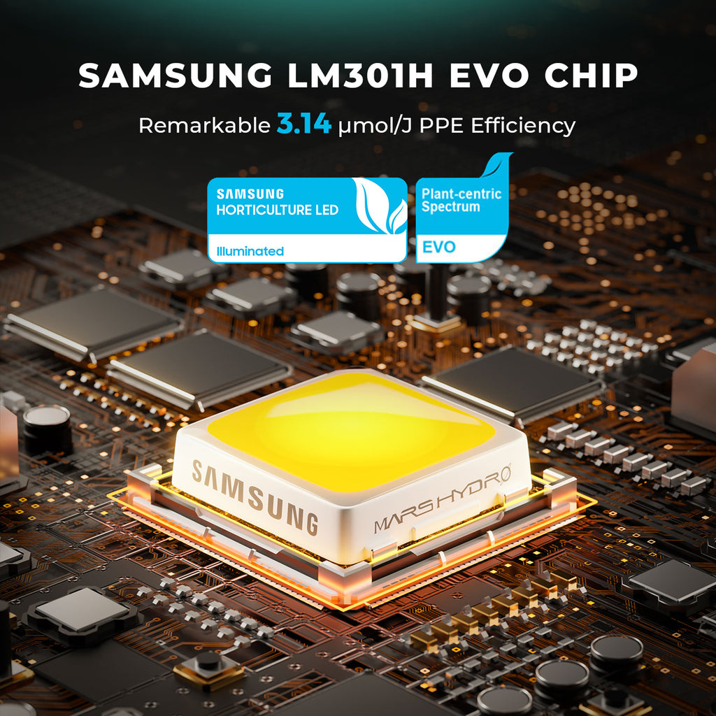 Detailaufnahme der Samsung LM301H EVO Chips auf der FC 1500-EVO