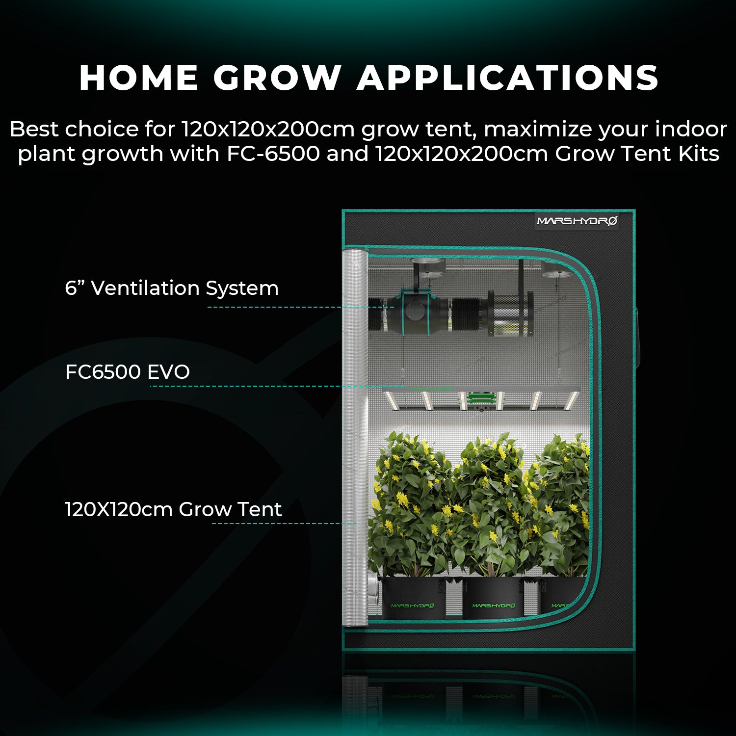Mars Hydro FC 6500-EVO hängend in einem 1,2 x 1,2 m Growzelt installiert