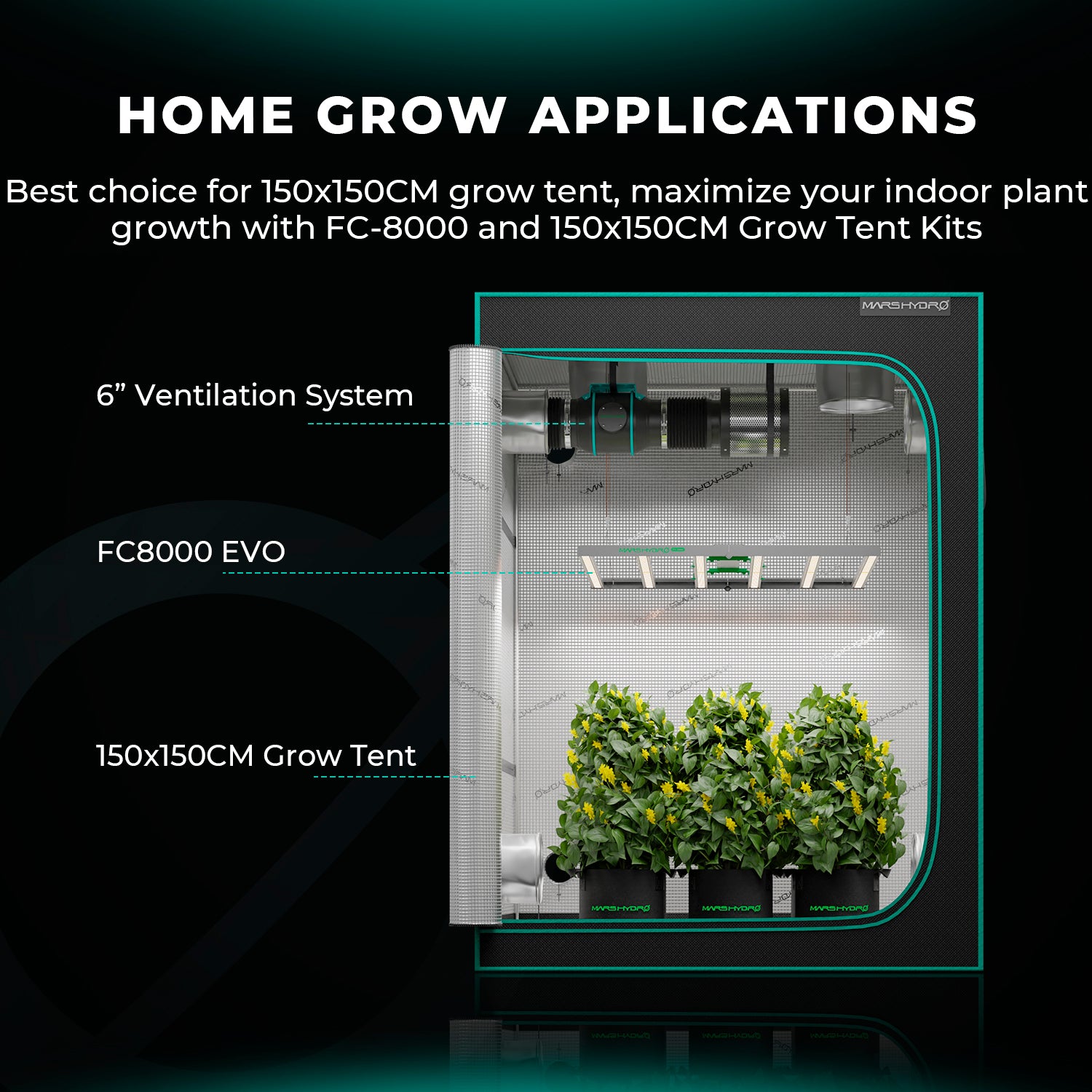 Mars Hydro FC8000-EVO hängend im 1,5 x 1,5 m Growzelt installiert