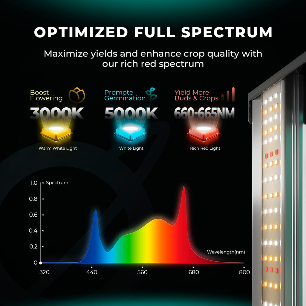 Spektraldiagramm der Mars Hydro FC 6500-EVO mit Samsung EVO Dioden