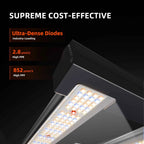 Spider Farmer G3000 Smart LED | 300W