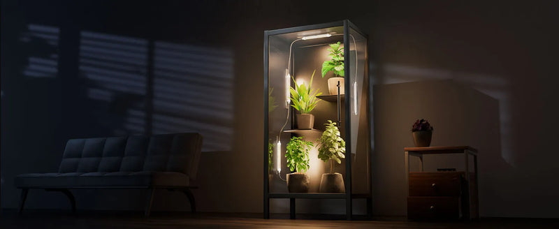 Spider Farmer Glow30 LED Bars | 32W