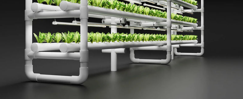 Spider Farmer Glow80 LED Bars | 80W