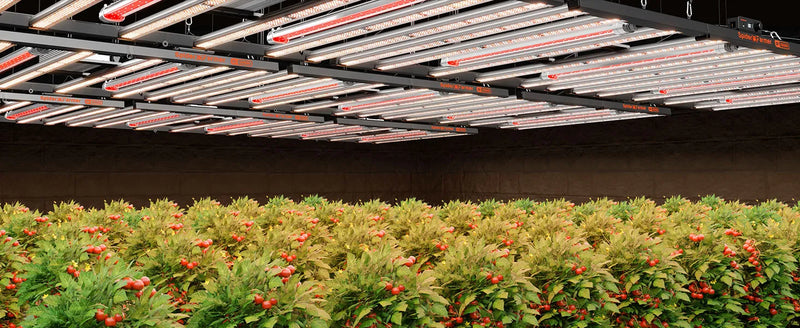 Spider Farmer GrowR40 Deep-Red LED Bars | 40W