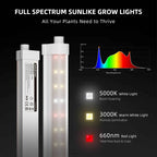 Spider Farmer GlowBar10D LED Bars | 40W Dimmbar